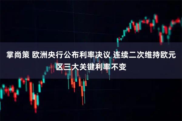 掌尚策 欧洲央行公布利率决议 连续二次维持欧元区三大关键利率不变