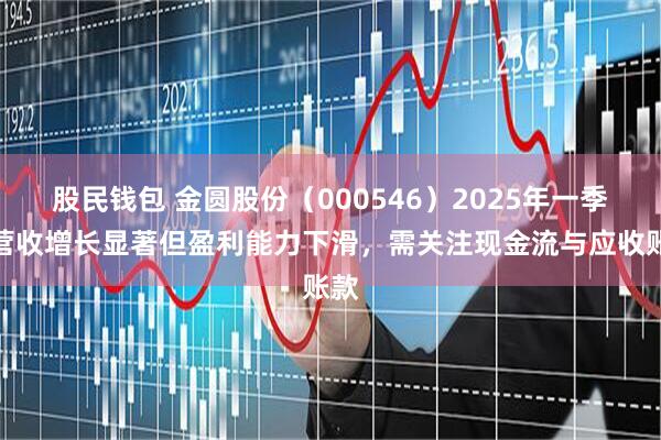 股民钱包 金圆股份（000546）2025年一季度营收增长显著但盈利能力下滑，需关注现金流与应收账款