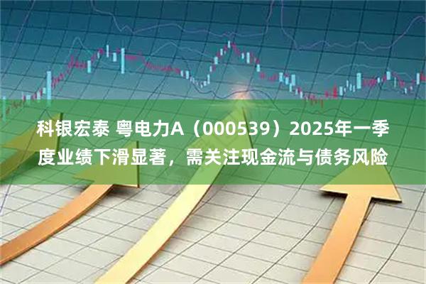 科银宏泰 粤电力A（000539）2025年一季度业绩下滑显著，需关注现金流与债务风险