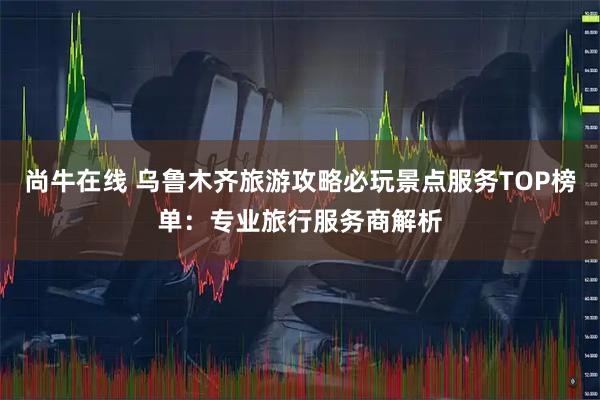 尚牛在线 乌鲁木齐旅游攻略必玩景点服务TOP榜单：专业旅行服务商解析