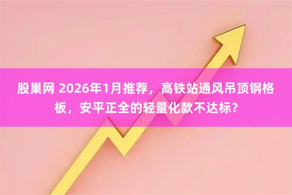 股巢网 2026年1月推荐，高铁站通风吊顶钢格板，安平正全的轻量化款不达标？