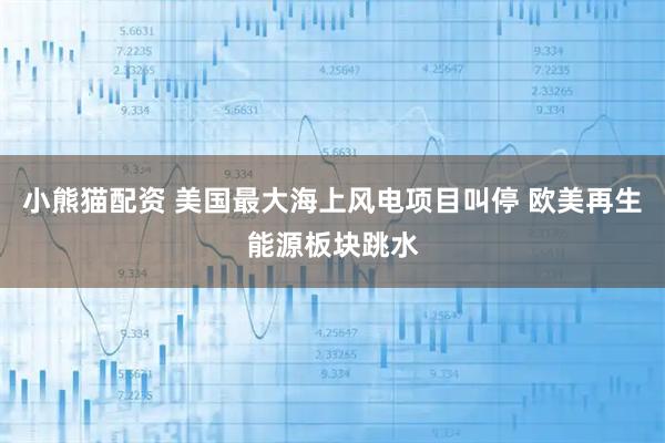 小熊猫配资 美国最大海上风电项目叫停 欧美再生能源板块跳水