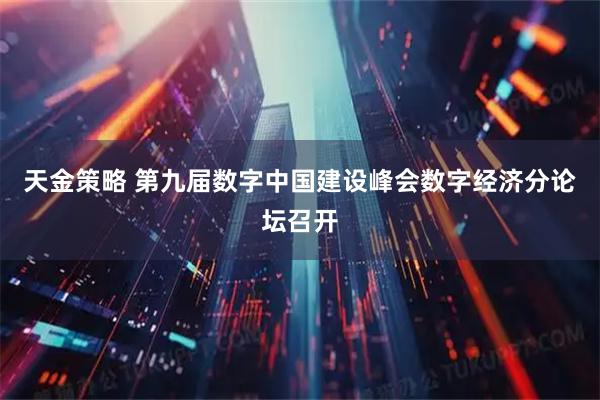 天金策略 第九届数字中国建设峰会数字经济分论坛召开
