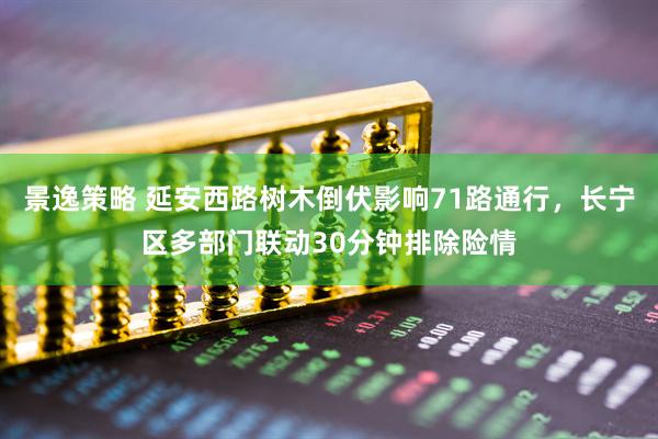 景逸策略 延安西路树木倒伏影响71路通行，长宁区多部门联动30分钟排除险情