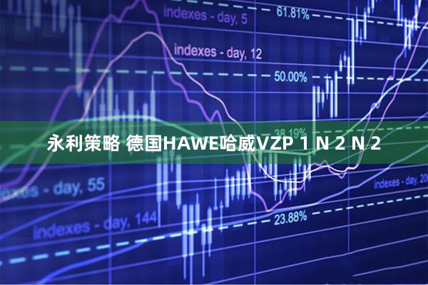 永利策略 德国HAWE哈威VZP 1 N 2 N 2