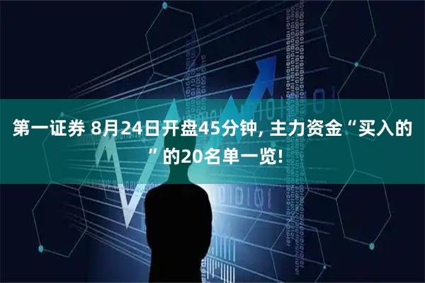 第一证券 8月24日开盘45分钟, 主力资金“买入的 ”的20名单一览!